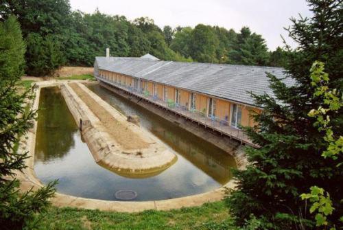 Motel Dacice Dačice Exterior foto